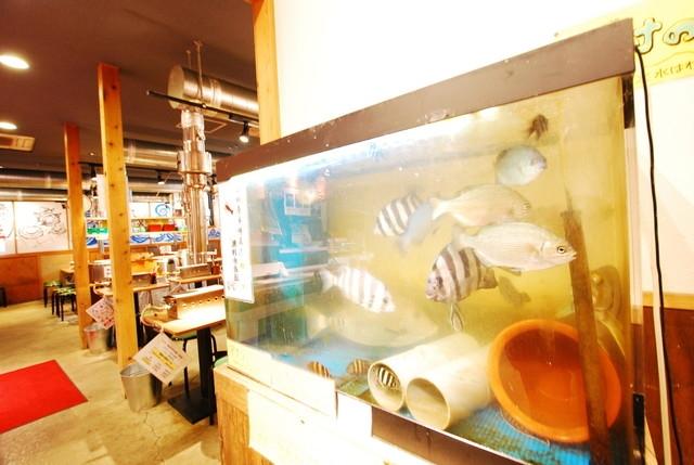 漁師の浜焼あぶりや　小田原早川漁村店_3